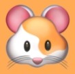 蘑菇17.㏄官方版官方版