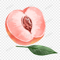 WWW,se492·COM网站APPAPP应用
