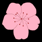 91制片厂下载官方版APP应用